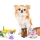 Do’s and Don’ts of Essential Oils for Pets
